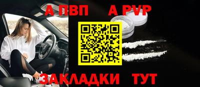шишки Лесосибирск