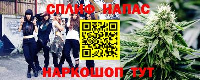 шишки Лесосибирск