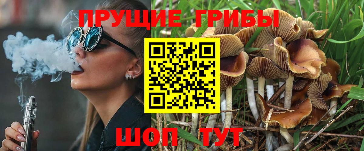 Полысаево  Галлюциногенные грибы Cubensis  Вход с VPN 